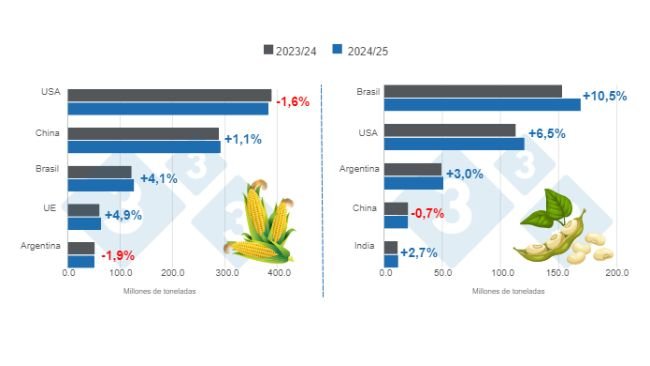 Gráfico 1. Proyección de cosecha para los principales productores mundiales de maíz y soya - campaña 2024/25 versus ciclo 2023/24. Elaborado por el Departamento de Economía e Inteligencia de Mercados con datos de FAS – USDA. 