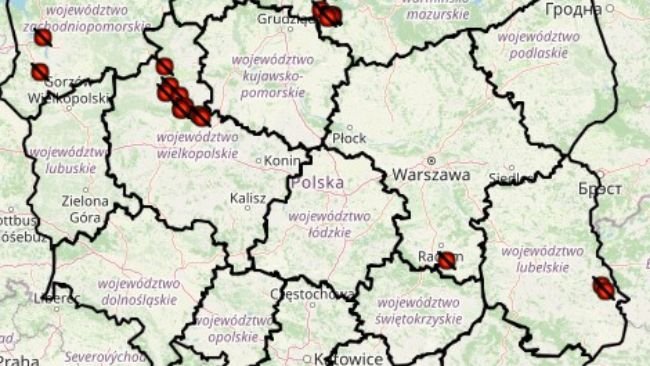 ASF outbreaks in Poland - July 2024