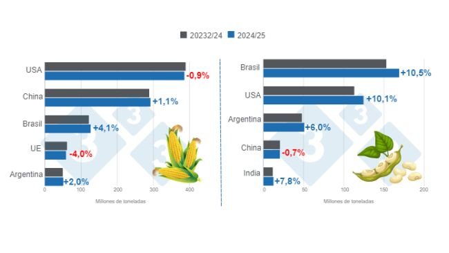 Gráfico 1. Proyección de cosecha para los principales productores mundiales de maíz y soya - campaña 2024/25 versus ciclo 2023/24 – última actualización: 11 de octubre de 2024. Elaborado por el Departamento de Economía e Inteligencia de Mercados con datos de FAS – USDA.