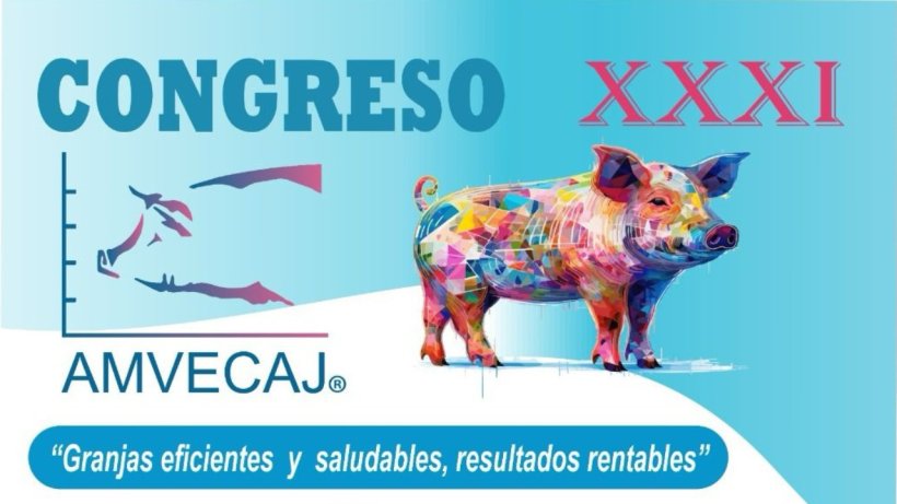 Congreso AMVECAJ 2025