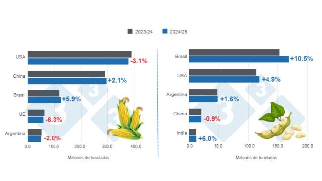 Gráfico 1: Proyección de cosecha para los principales productores mundiales de maíz y soya - campaña 2024/25 versus ciclo 2023/24 – última actualización: 11 de marzo de 2025.  
Elaborado por el Departamento de Economía y Sostenibilidad de 333 Latinoamérica con datos de FAS – USDA