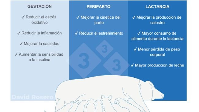 Figura 1. Efectos de la fibra como intervención nutricional en dietas de cerdas.