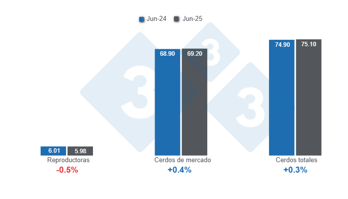 Gráfico 1: Inventario de porcinos en Estados Unidos con corte al 1 de junio de 2025, cifras en millones de cabezas, variaciones anuales. 

Elaborado por el Departamento de Economía y Sostenibilidad de 333 Latinoamérica con datos de USDA - NASS