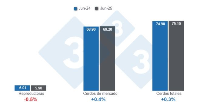 Gráfico 1: Inventario de porcinos en Estados Unidos con corte al 1 de junio de 2025, cifras en millones de cabezas, variaciones anuales. 
Elaborado por el Departamento de Economía y Sostenibilidad de 333 Latinoamérica con datos de USDA - NASS