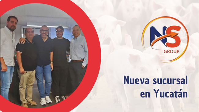 NS Group inicia operaciones en Yucatán para atender a la porcicultura ...
