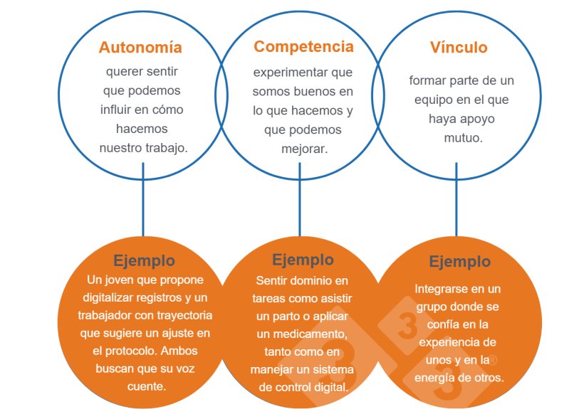 Imagen 1. Necesidades universales que compartimos (Deci & Ryan, 2000).