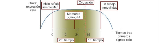 Pautas de cubrición