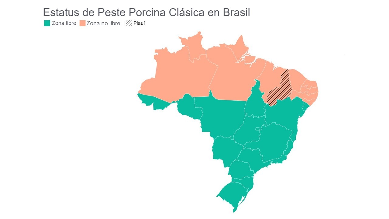 Estatus de la peste porcina clásica en Brasil. Fuente: Mapa elaborado con datos publicados por la CNA, 2024.