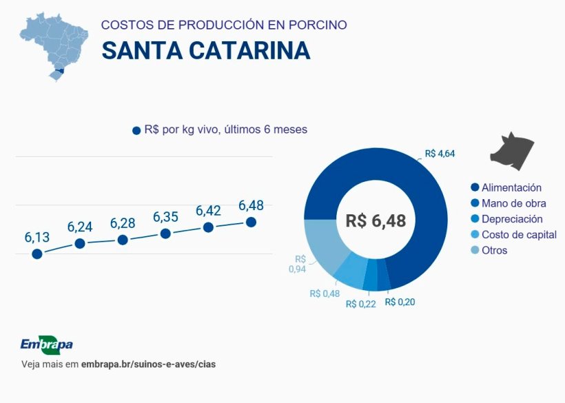 Costes de producci&oacute;n durante el segundo semestre de 2025 en el estado brasile&ntilde;o de Santa Catarina. Fuente: Embrapa.