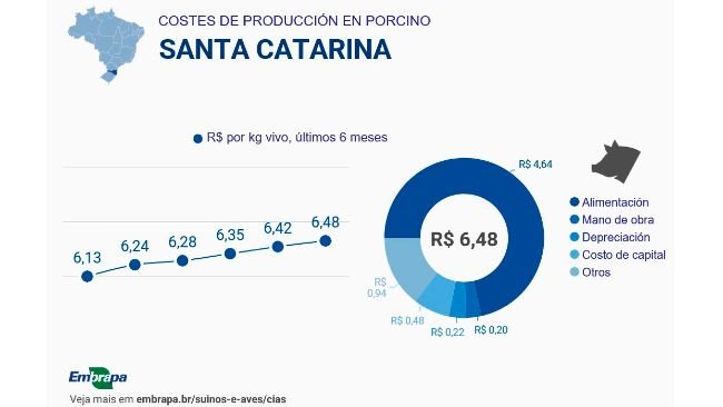 Costes de producción durante el segundo semestre de 2025 en el estado brasileño de Santa Catarina. Fuente: Embrapa.