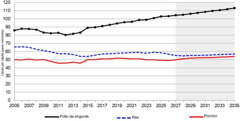 U.S. per capita meat consumption, 2005-2035. Source: USDA