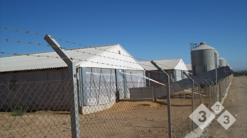 Imagen 2. Vista de un cerco perimetral con base de hormig&oacute;n y alambre de p&uacute;as superior, estableciendo el l&iacute;mite f&iacute;sico infranqueable entre el exterior y el coraz&oacute;n productivo de la granja.