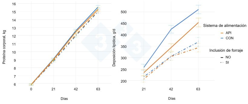 Figura 2. Contenido de prote&iacute;na corporal y deposici&oacute;n lip&iacute;dica seg&uacute;n la inclusi&oacute;n de Phleum pratense (Inclusi&oacute;n de forraje, NO, SI= Inclusi&oacute;n gradual 8-22%) y el sistema de alimentaci&oacute;n (CON=Alimentaci&oacute;n por fases en grupo, API=Alimentaci&oacute;n de precisi&oacute;n individual) a lo largo de un periodo experimental de 63 d&iacute;as dividido en 3 fases de 21d.
