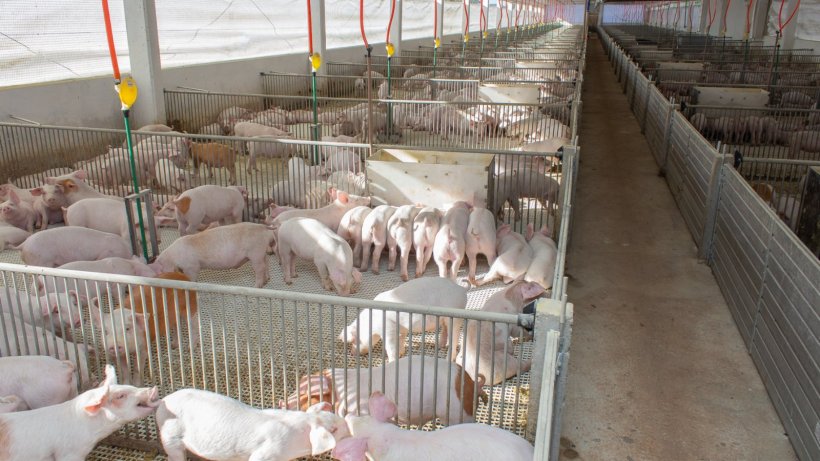 Foto: Tiago Rafael/ACCS