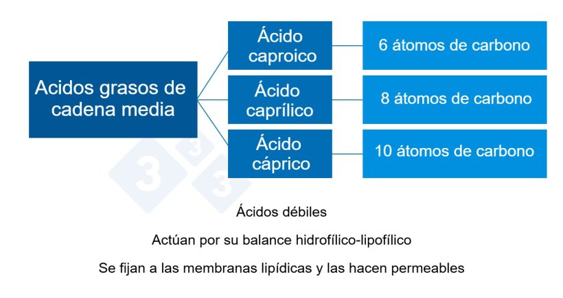 Gr&aacute;fico 2: &Aacute;cidos org&aacute;nicos de cadena media.