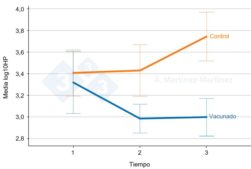 Gr&aacute;fico 1: Niveles de haptoglobina en la saliva de dos grupos de cerdos uno vacunado y otro no vacunado. Barras de error: 95% CI. Fuente: A. Martinez-Martinez.