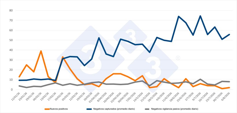 Descripción: Evolución de positivos, capturas y vigilancia pasiva semanal en las zonas I y II. Fuente: 333 a partir de datos del MAPA.