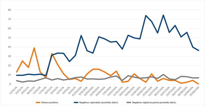 Descripción: Evolución de positivos, capturas y vigilancia pasiva semanal en las zonas I y II. Fuente: 333 a partir de datos del MAPA.