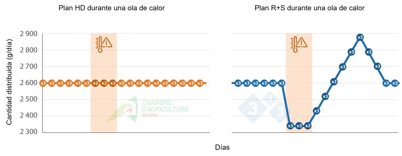 <p>Ejemplo de plan de alimentaci&oacute;n durante una ola de calor. Fuente: CAB.</p>
