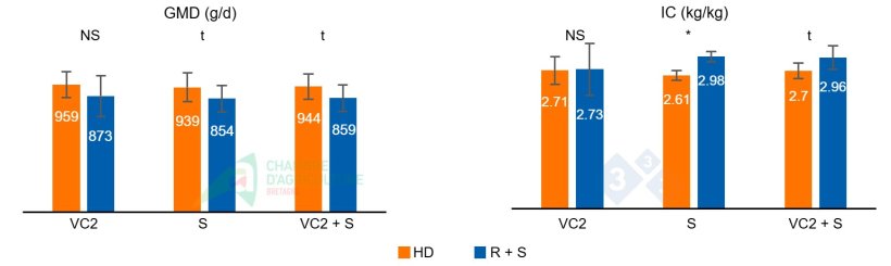 Figura 2: GMD e IC durante la segunda ola de calor del lote 1 (VC2), durante la fase de sobrealimentaci&oacute;n (S) que le sigui&oacute;, y el acumulado de ambas fases (VC2 + S).
