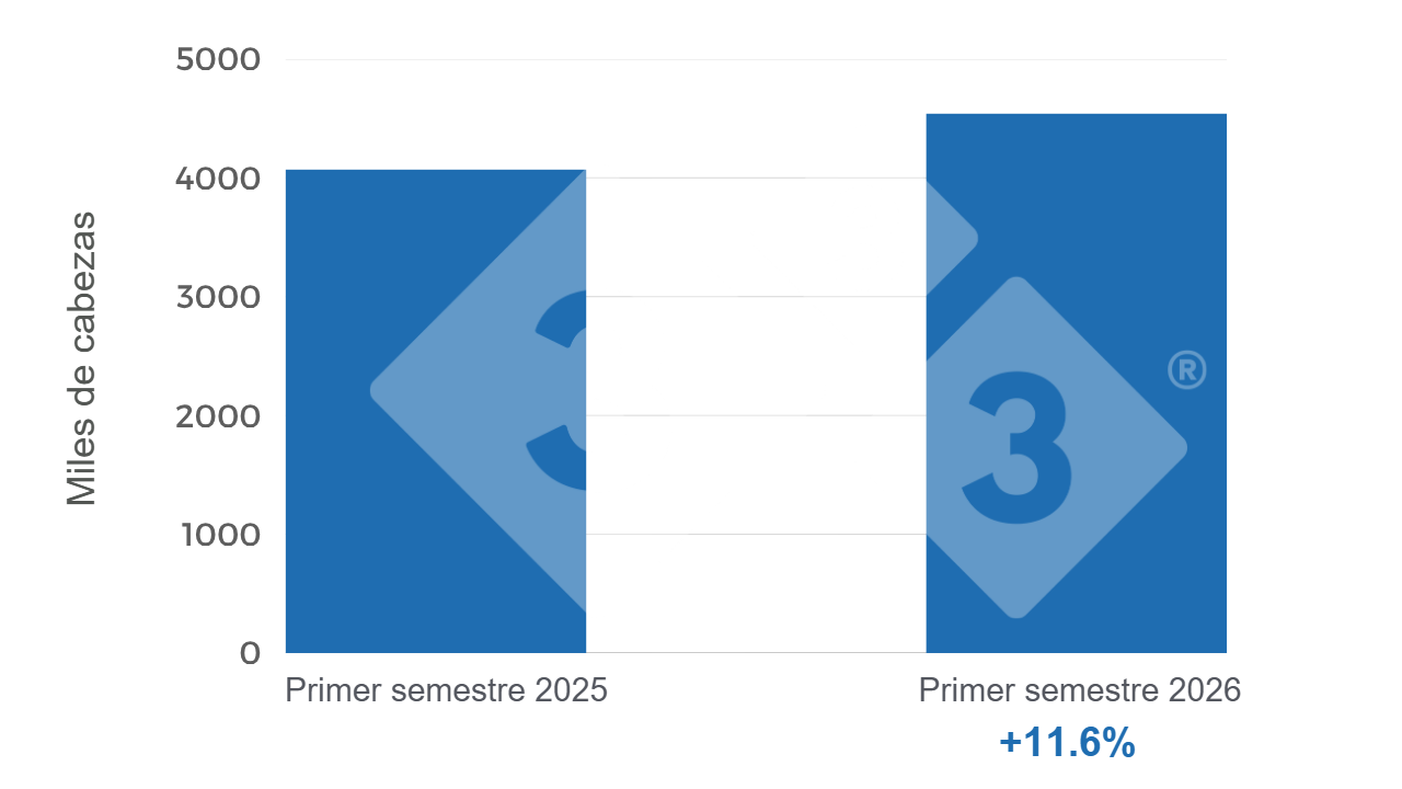 Gr&aacute;fico 1. Comparaci&oacute;n interanual de animales beneficiados a junio 2025-26