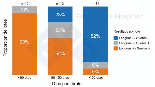 Figura 1. Proporci&oacute;n de lotes con resultados de la detecci&oacute;n de PRRSV en lenguas de NM y en sueros al destete por fase post brote (d&iacute;as).
