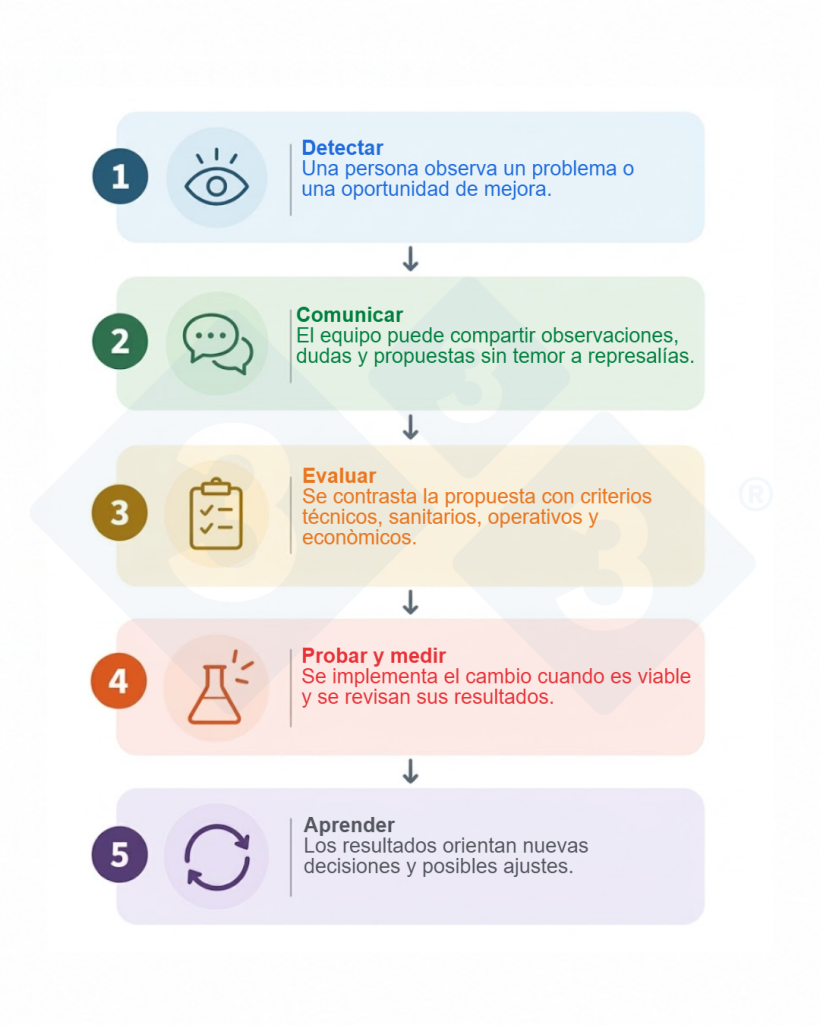 Figura 1. De las observaciones cotidianas a las oportunidades de innovación.