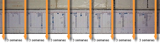 20101125_planning_3_semanas