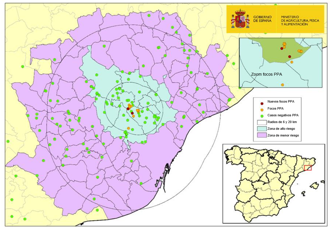 Localización de los 13 focos en jabalíes silvestres y de los jabalíes capturados o hallados muertos negativos detectados en Cataluña (Fuente: MAPA)