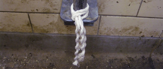 Cuerda de algodón para toma de muestras