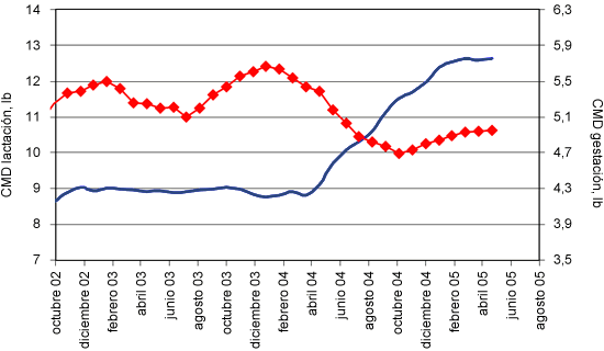 Monitorización del consumo de pienso en gestación y lactación durante 6 meses