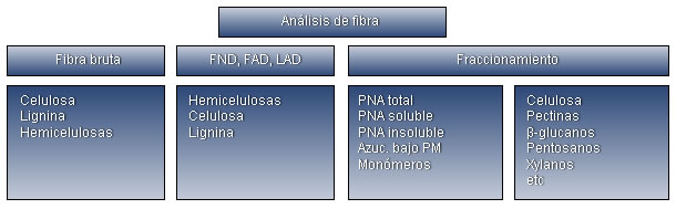 Resumen de las diferentes técnicas analíticas y fracciones de la fibra.