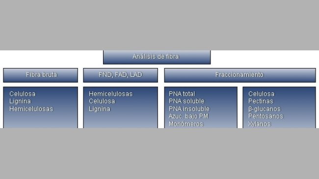 Resumen de las diferentes técnicas analíticas y fracciones de la fibra.