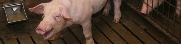 ¿cuántos tratamientos lleva?