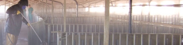 Limpieza granja