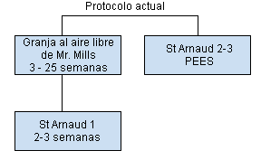 Protocolo de aclimatación de primerizas