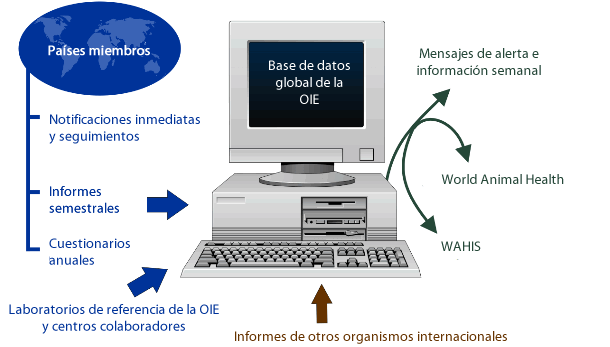 Base de datos de la OIE