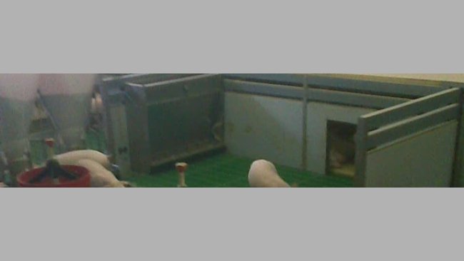 Nidos caseros para lechones