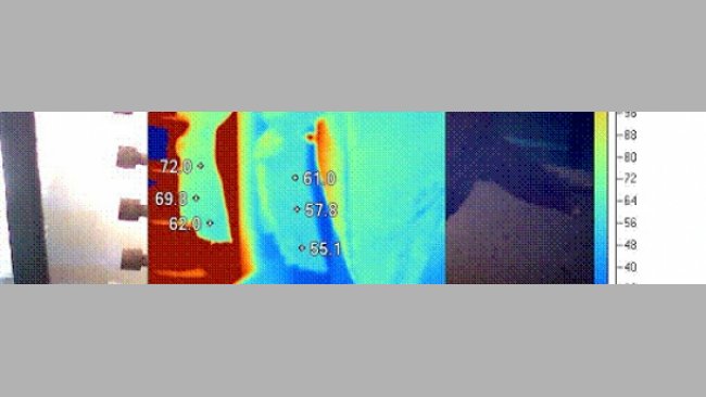 Puede utilizarse una cámara termográfica para la optimización del chamuscado, al asegurar un calentamiento adecuado de toda la superfície de la canal, especialmente en parte anterior, donde la carga de Salmonella es mayor.
