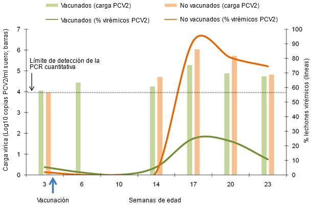 Comparativa de la dinámica del porcentaje de lechones virémicos y carga vírica media en los lechones virémicos