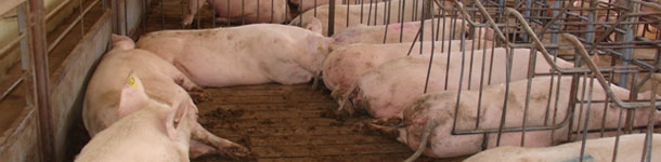 Espacio para descanso