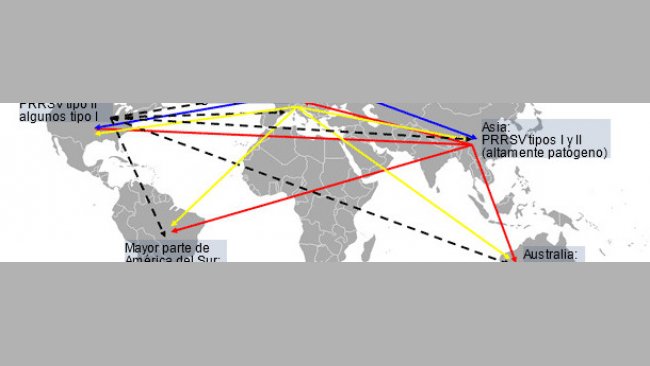 Distribución mundial del PRRSV y transmisión intercontinental hipotética
