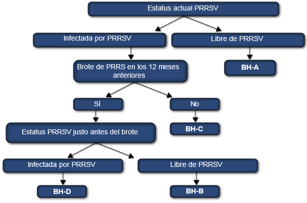 Sistema de clasificación del virus PRRS en granjas de cerdas