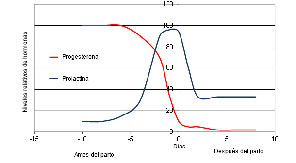 Cambios hormonales de la cerda alrededor del parto