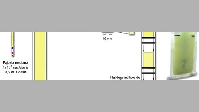 Representación esquemática de las principales diferencias entre las mini-pajuelas plásticas de 0,25 ml, con Flat-bags simples (5 ml) y múltiples  (de 0,5-0,7 ml)