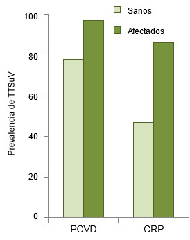 Prevalencia de TTSuVs en cerdos sanos y en afectados por PCVD y CRPTTSuV prevalence