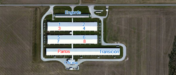 Granja de 6.000 cerdas en Indiana con multiplicación interna