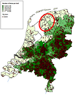 Distribución de las granjas porcinas en Holanda