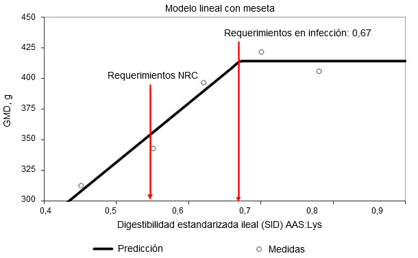 Requerimientos de digestibilidad ileal estandarizada para aminoácidos sulfurados determinados en lechones destetados infectados oralmente con una cepa enterotoxigénica de E. coli 