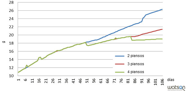 Consumo de lisina ileal estandarizada a lo largo del cebo según diferentes programas de alimentación (2 piensos, 3 piensos, 4 piensos)